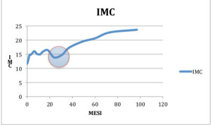 IMCbis